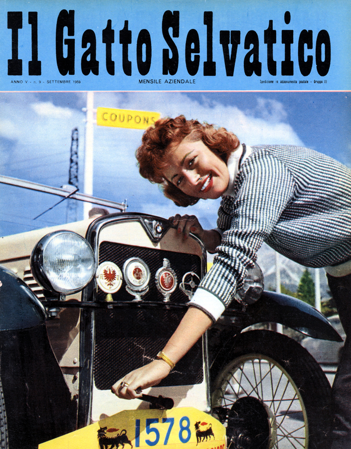 Il Gatto Selvatico