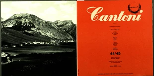 Noi della Cantoni